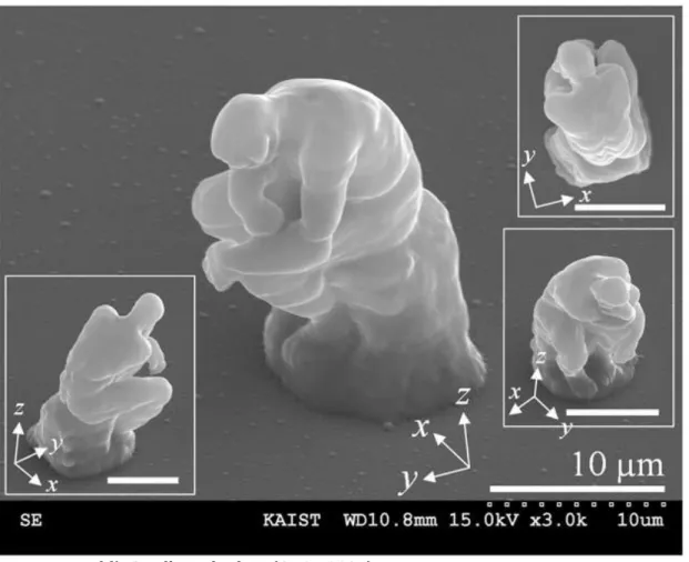Figura 7: World's Smallest Thinker. (CHOI, 2007) 