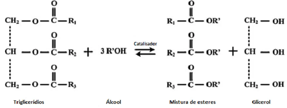 Figura 5 - Equação química geral da transesterificação de triglicerídeos (adaptado de [6]) 