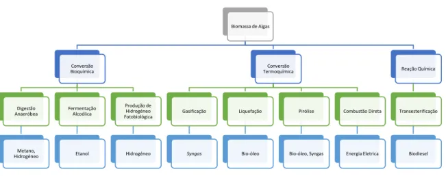 Figura 6 - Potenciais processos de conversão de biomassa de microalgas (adaptado de [14], [35]) 