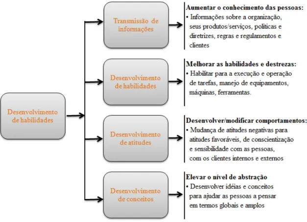 Figura 7 - Os tipos de mudanças de comportamento através do treinamento. 