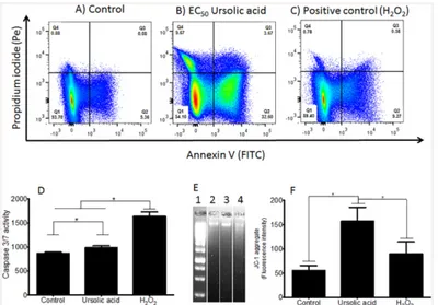 Fig 3D shows that UA-treated parasites presented a slight significant increasing in the activ- activ-ity of caspase 3/7 in comparison with control (p < 0.05), and genomic DNA did not show aspect of fragmentation (Fig 3E, lane 2)