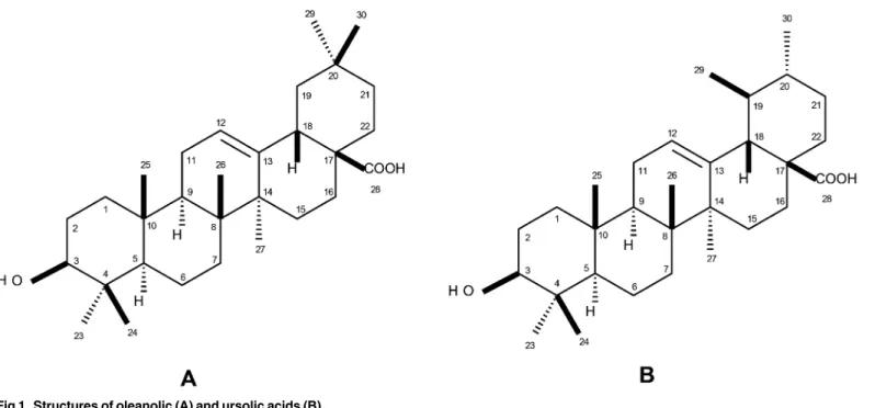 Fig 1. Structures of oleanolic (A) and ursolic acids (B).