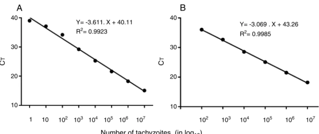 Fig. 2 – Standard curve of T. gondii, tachyzoites using REP-529 (A) and B1 (B) primer sets, respectively using the hydrolysis probe FAM dye-labeled