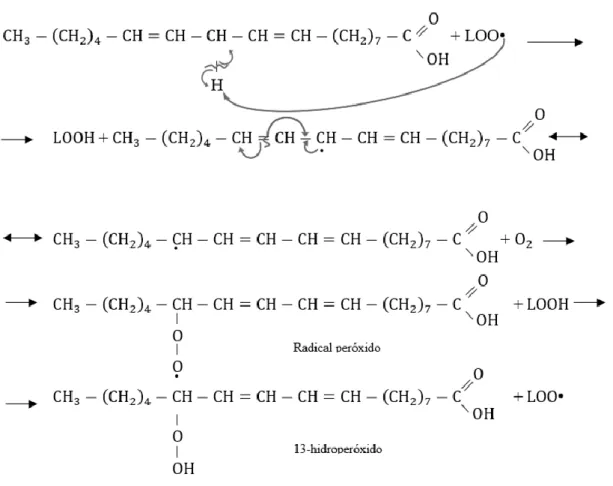 Figura 3 - Fórmula estrutural simplificada do ácido linoleico 