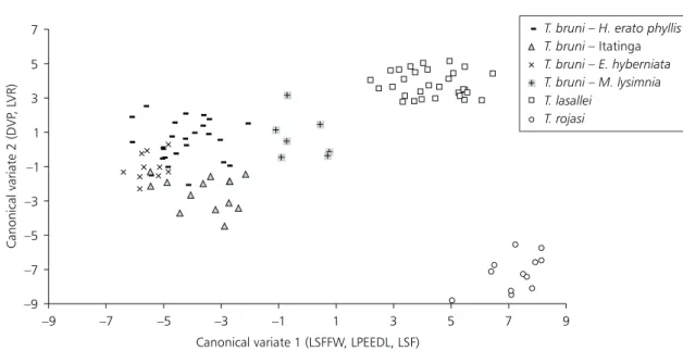 Fig. 7 — Ordination of T. bruni,  T. lasallei and T. rojasi within the first and second canonical axis.