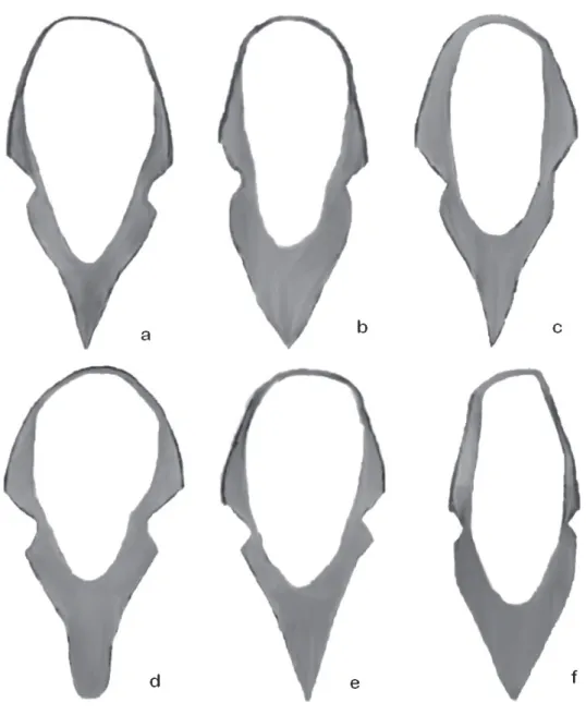 Fig. 9 — Sketches of the variations of the dorsal lamina of Trichogramma bruni: specimens from isofemale line (a-d); from Heliconius erato Phyllis (e) and Mechanitis lysimnia (f).