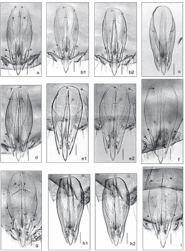 Fig. 4 — Variation in the genital capsule of T. bruni: Itatinga-SP (a-c); eggs of Heliconius erato phyllis in Piracicaba-SP (d-i)