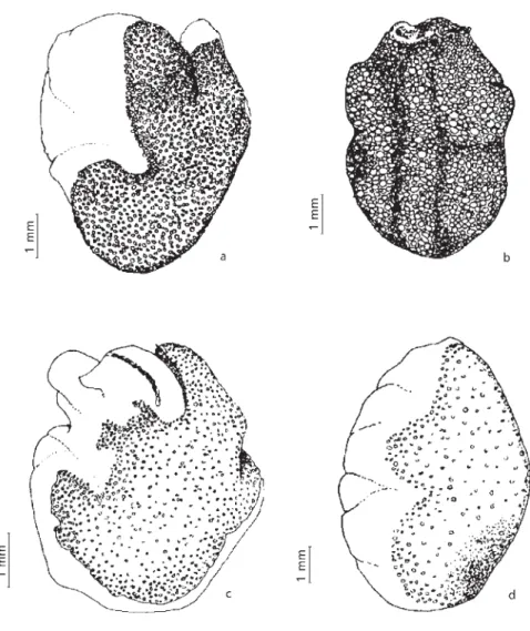 Fig. 6 — Diagramatic representation of progressive female gonad development: (a) partially ripe, (b) ripe, (c) partially spawned, (d) spawned.