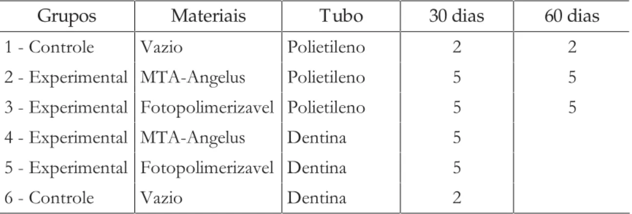 Tabela 1. Divisão dos animais por 6 grupos.
