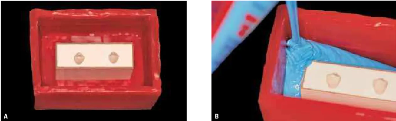 FIGURE 3 - ASB-10 Blue silicone rubber, poured after proper manipulation to obtain negative mold.