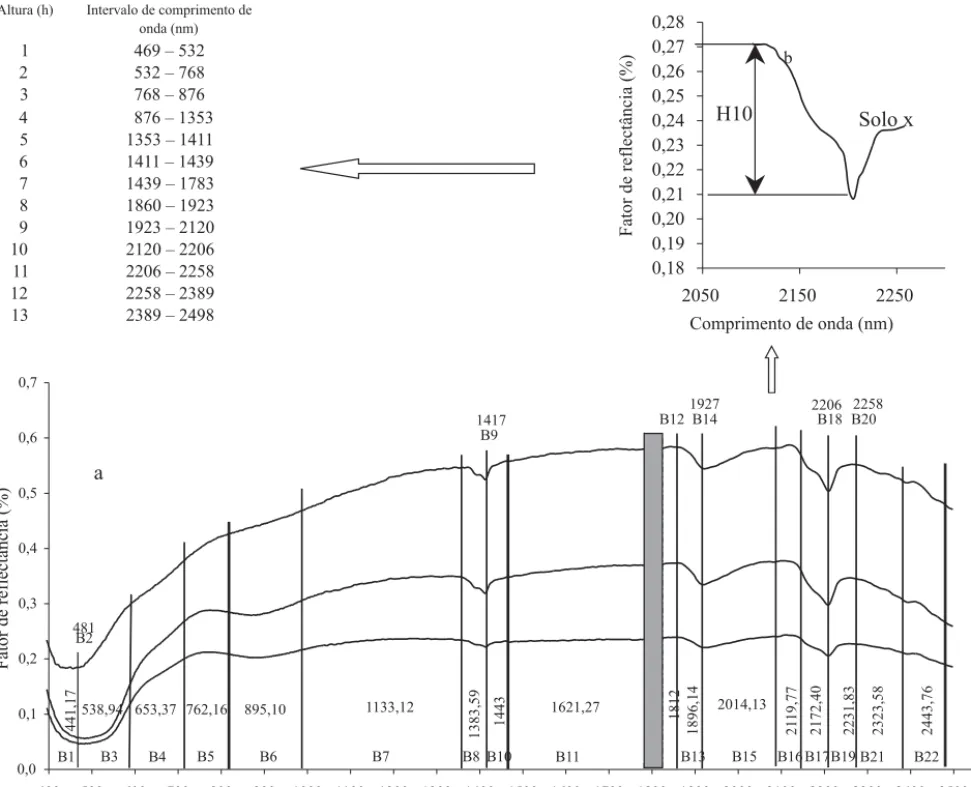 Figura 1. a) Representação das 22 bandas escolhidas pela interpretação visual de uma série de curvas espectrais obtidas em laboratório; b) Representação gráfica da determinação da altura da curva espectral de um solo hipotético (x)