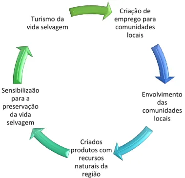 Figura  2  Relação  de  equilíbrio  e  cíclica  entre  a  preservação  da  vida  selvagem  e  o  turismo
