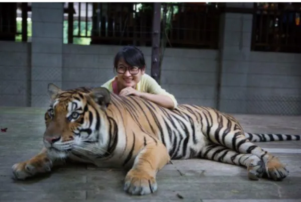 Figura  3  Turista  com  tigre  num  parque  de  vida  selvagem na Tailândia. Fonte:(Naylor, 2014).