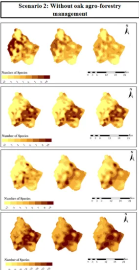 Fig. 5. Spatial–temporal patterns for the passerine foraging traits (grassland, woodland and generalist species) and total richness in the study area, considering both scenarios and the time frames selected for demonstration purposes (1st, 15th and 30th ye