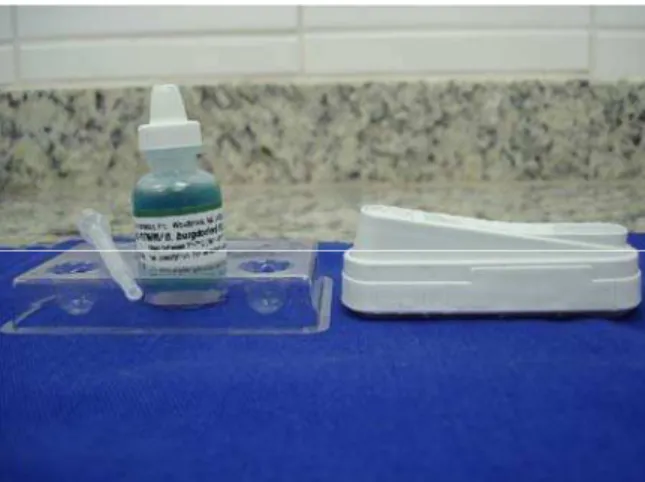 Figura 6. Kit sorológico SNAP ® 3DX TM para a detecção de anticorpos contra a Ehrlichia canis e Borrelia bugdorferi