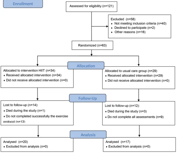 Fig. 1    Flow diagram of the study