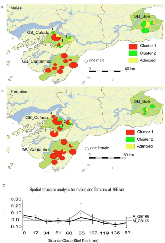 Fig 2. Population structure estimated in GB at 165 km. a and b shows the proportion of males (a) and females (b) at each sampling site assigned to the two STRUCTURE clusters using the GB165 sub-set