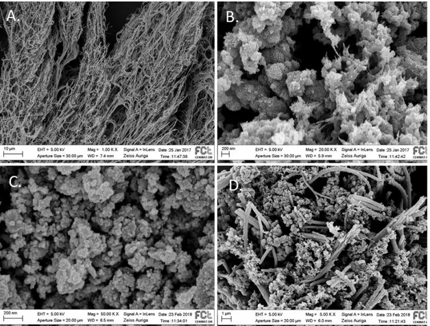 Figure 1. Graphene prepared by laser ablation technique (A); PANI-Graphene  composite (B); WO 3  particles (C); and PANI-WO 3  composite (D)