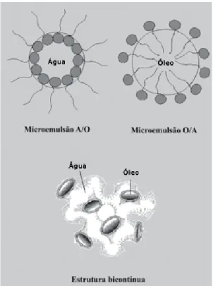Figura 4: Representação esquemática da organização das microemulsões. Fonte: CASTILLO, (2002) 