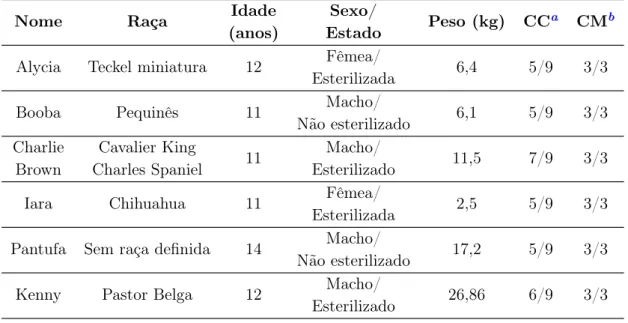 Tabela 5.1: Identificação dos animais