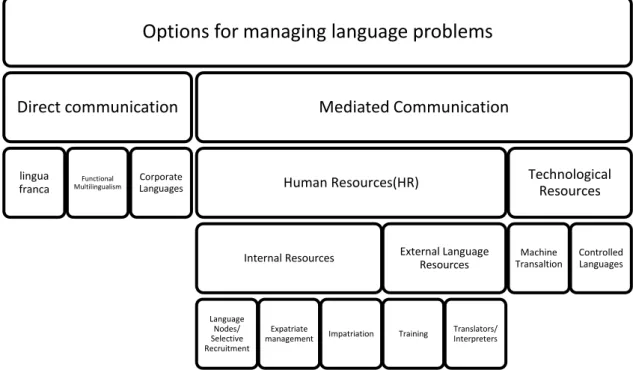 Figure 1 – Options for managing language problems (adapted from Feely et al., 2002)                                                             
