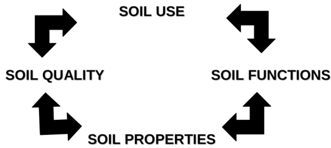 Figure 8: Interactions that define and affect soil role in urban ecosystems 