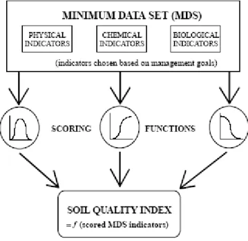 Figure 10: Conceptual approach to soil quality indexing, defining relationship between soil quality  minimum datasets, scoring functions and index values (Wienhold et al., 2004) 