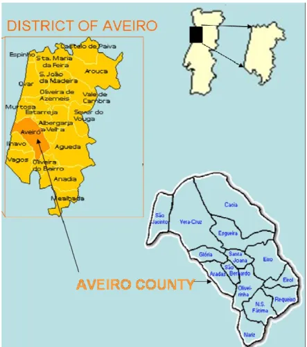 Figure 14:  Schematic description of the District and County of Aveiro including the 14 parishes 