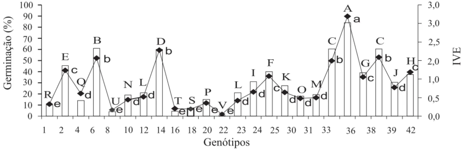 Figura 1. Germinação (%) e índice de velocidade de emergência (IVE) ( ) de sementes de 22 progênies e duas cultivares de maracujazeiro (P