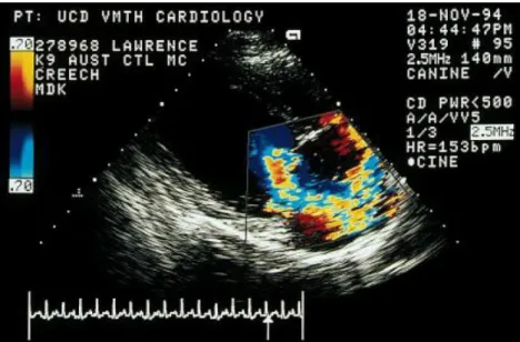 Figura 12 – Ecocardiografia em modo doppler de cor. Plano paraesternal direito longitudinal, imagem de quatro  câmaras