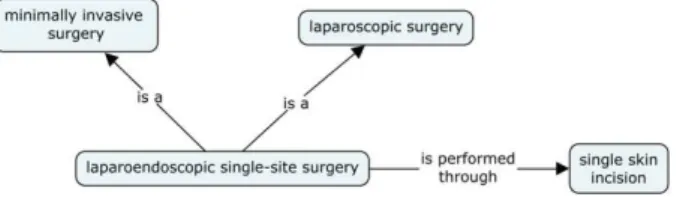 Fig. 1. Lexical network created with data extracted from the corpus 