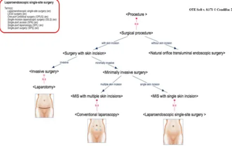 Fig. 2.  Concept map of <Laparoendoscopic single-site surgery> 