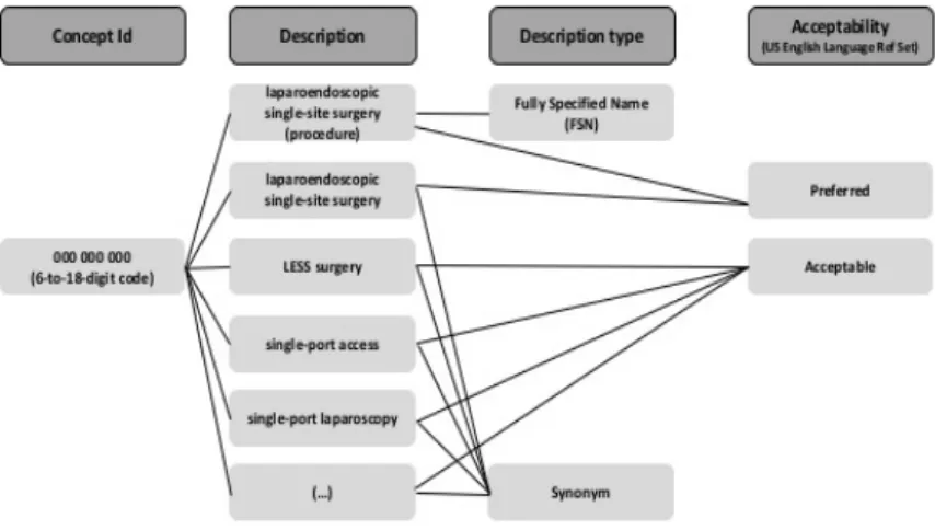 Fig. 3. Example of descriptions for <Laparoendoscopic single-site surgery> 
