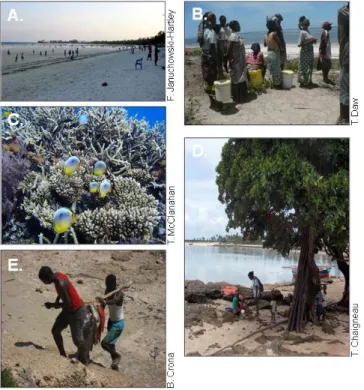Fig. 3. Images representing the five ecosystem services in Table 2. (A) The wave attenuation provided by the coral reef offshore at Bamburi beach, Mombasa, provides calm waters and beachfront for recreation in the evenings