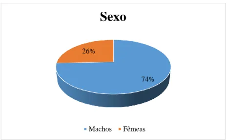 Gráfico 1 – Distribuição dos animais em estudo quanto ao sexo. 