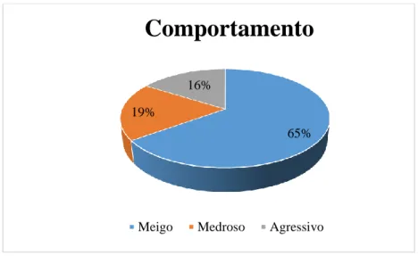 Gráfico 7 – Distribuição dos animais em estudo quanto ao comportamento.  