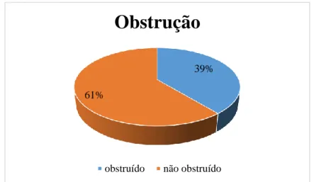 Gráfico 11- Distribuição dos animais em estudo quanto à presença de obstrução. 