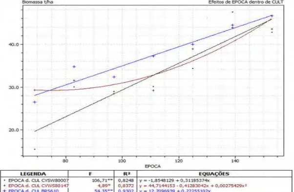 Figura 06. Representação gráfica da regressão polinomial da Biomassa total (t/ha) para os  genótipos  CVSW80007,  CVWS80147  e  BRS610,  em  função  das  épocas  de  amostragem