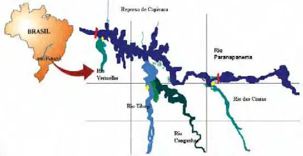 Figura 1: Mapa geral da bacia do rio Paranapanema com seus principais afluentes e  respectivos pontos de coleta