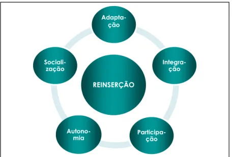 Fig. 4 Dimensões no processo de reinserção 