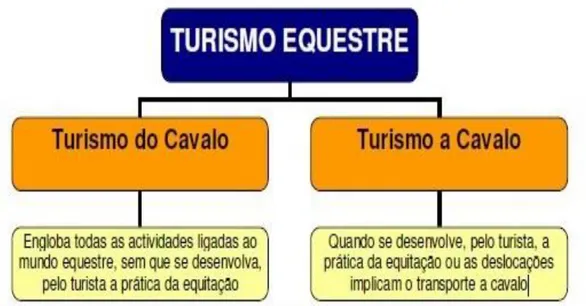 Figura 2-1- Tipos de turismo equestre 