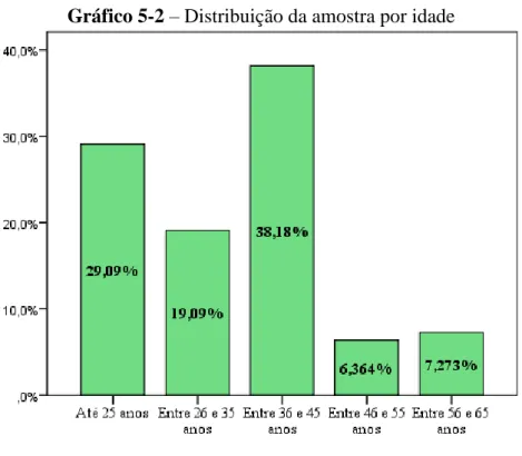 Gráfico 5-2 – Distribuição da amostra por idade 