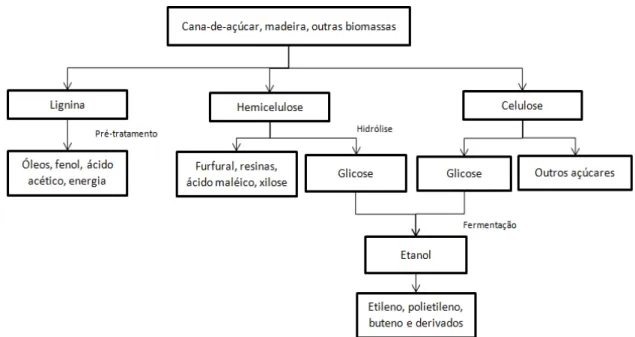 Figura 1: Exemplos de aplicação da biomassa para sua conversão a produtos de maior valor agregado 