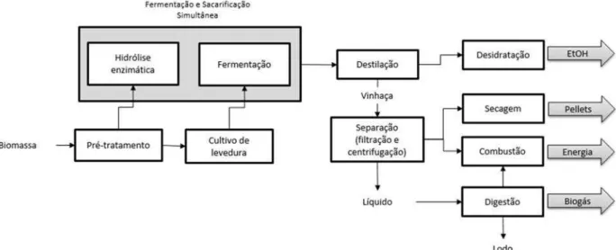 Figura 2: Representação esquemática de processo integrado lignocelulose-etanol e seus coprodutos   Fonte: GALBE (2011) – adaptado 