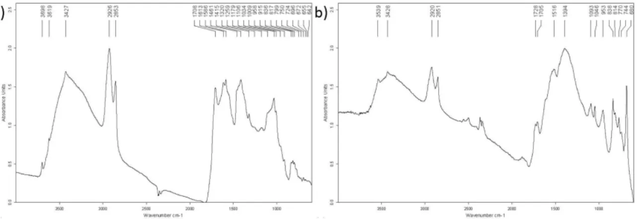 Figure 2. (a) Micro-Fourier transform infrared (µ-FTIR) spectrum from the green shadow of the grass, in P2, displaying azurite, kaolinite, oil and metallic carboxylates; (b) µ-FTIR spectrum from the light green of the grass, in P4, displaying azurite, hydr