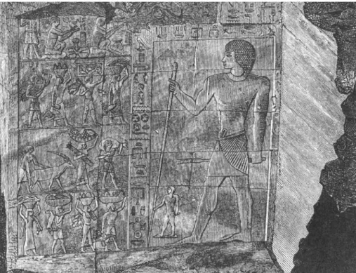 Fig. 2: Bas-relief du mastaba de Ti (Vème dynastie, Ancien Empire).