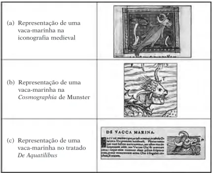 Tabela 1 – Ilustração de uma vaca-marinha retirada da folha de monstros marinhos e terrestres da  Cosmographia de  Münster  (b)