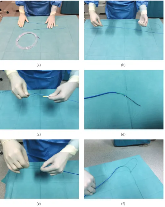 Figure 2: Mechanical heartworm removal device used during the procedure. (a) A snare introducer, a 6-F plastic sheath, inserted via the right external jugular vein