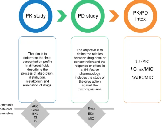 Fig. 1 – Pharmacokinetics (PK), pharmacodynamics (PD) and PK/PD integration. Pharmacokinetic parameters