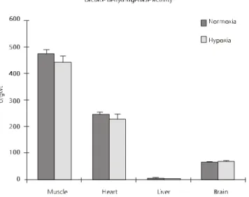 Fig. 1 — LDH, lactate dehydrogenase activity of different tissues from fishes submitted to normoxia and hypoxia for six hours